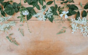 découvrez notre sélection éclatante de fleurs fraîches et colorées pour toutes les occasions. offrez la beauté de la nature et égayez votre quotidien avec nos compositions florales uniques.
