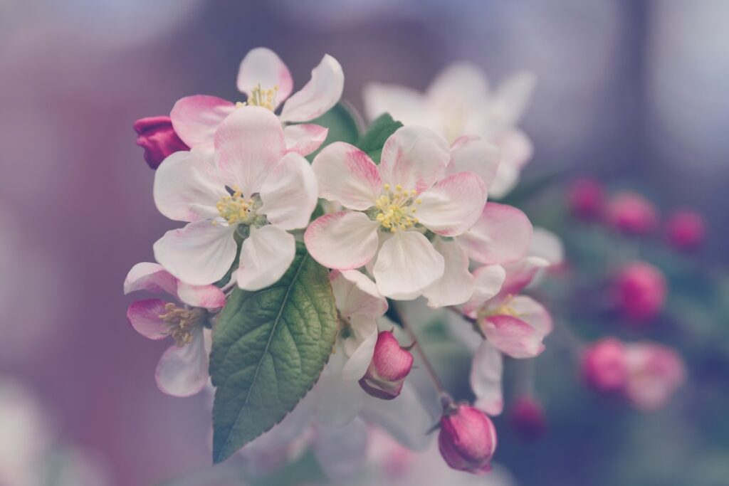 découvrez notre sélection éclatante de fleurs fraîches et colorées pour toutes les occasions. embellissez votre quotidien avec la beauté naturelle des fleurs.